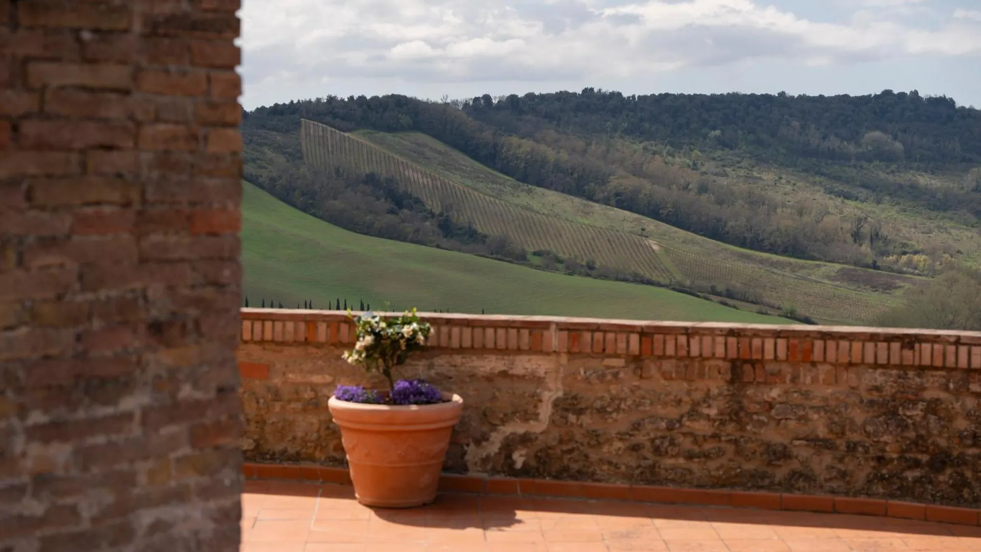 Agriturismo Castello Di Montauto San Gimignano 0*,